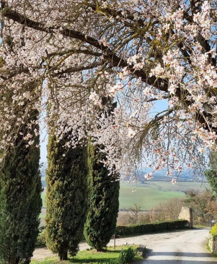 Relais Castelbigozzi * Monteriggioni